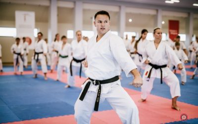 Międzynarodowy trening online