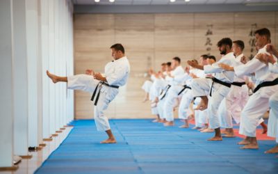 Konsultacje na stopnie mistrzowskie Dan