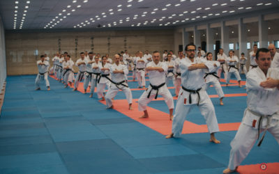 Kurs Mistrzowski kończący rok treningowy