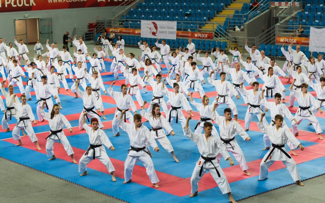 Zgrupowanie karate tradycyjnego w Płocku