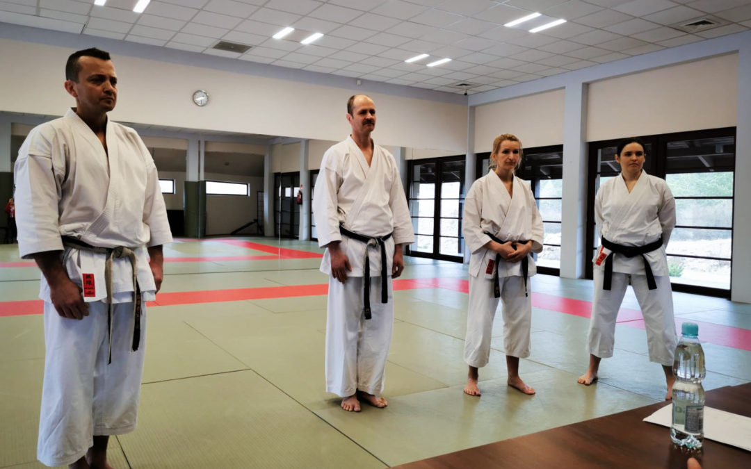 Wyniki egzaminów na stopnie mistrzowskie Dan