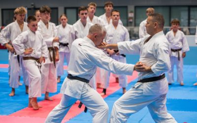 Konsultacje Dan podczas Rodzinnej Majówki w Dojo