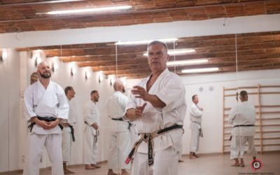 Konsultacje mistrzowskie z senseiem Kwiecińskim